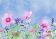 Ab in den Frühling! - Blog geschenkidee.chBlog geschenkidee.ch